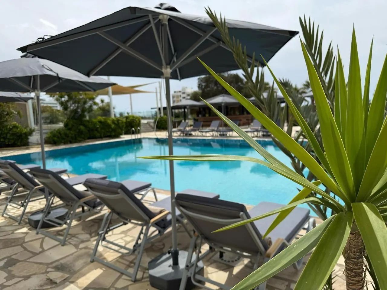 **** Hotel Cyprotel Florida Ayia Napa Cipru